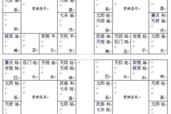 紫薇斗数代表什么