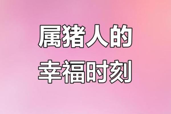 属猪的男孩出生吉日吉时是什么 属猪男孩出生的最佳时辰
