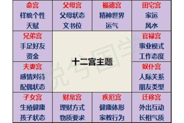 紫薇斗数爱情宫