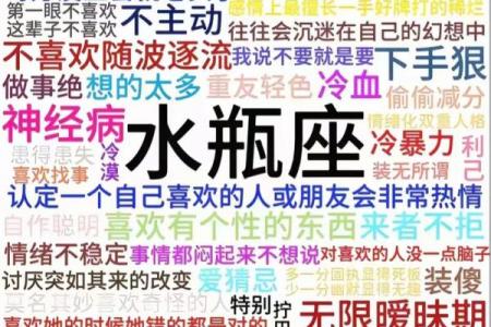 水瓶座跟双子星座配吗男生