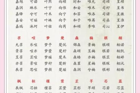 属蛇丑时出生的男孩怎么取名字，宜用什么字姓名