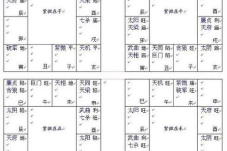 紫薇斗数代表什么