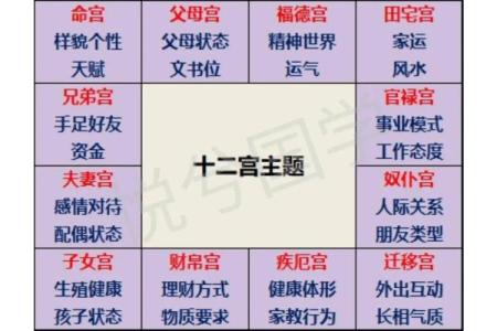 紫薇斗数爱情宫