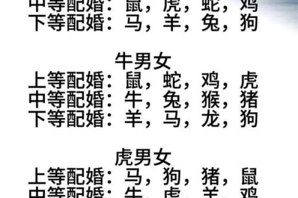 最全的十二属相配对