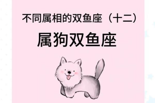 生肖配对：属狗的和什么属相最配