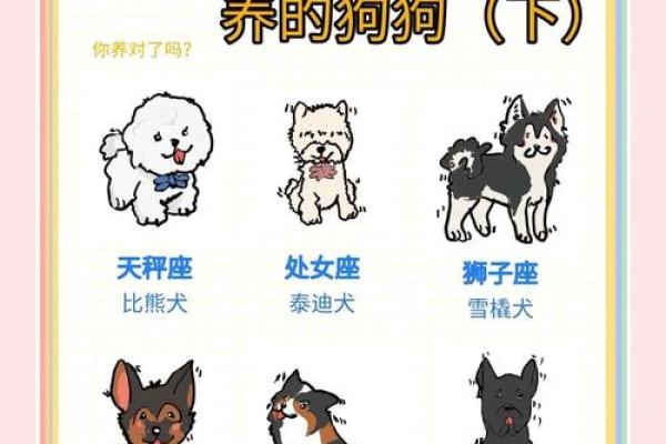 星座最适合什么狗狗