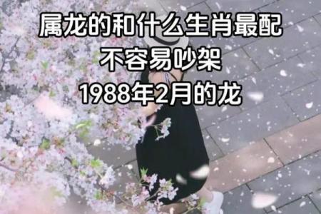 龙的生肖配对什么生肖最好