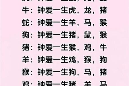 最全的十二属相配对