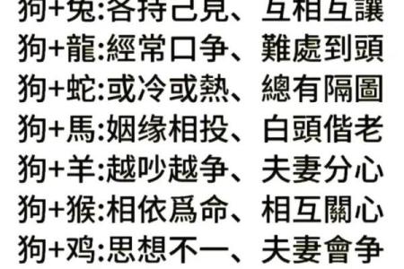 生肖配对：属狗的和什么属相最配