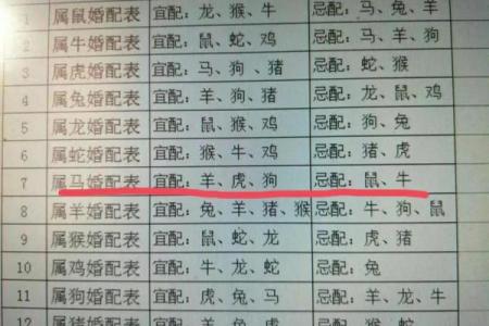 属马的女人和属牛的男人配吗 情感配对深度分析