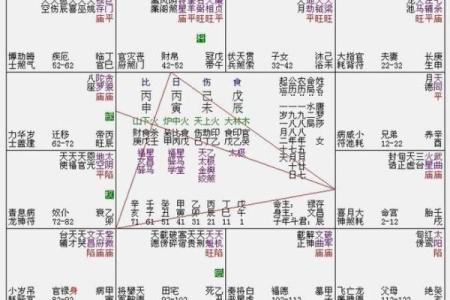 紫微斗数排盘疾厄宫自化忌是什么意思？