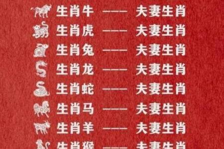 1996年属什么生肖配对