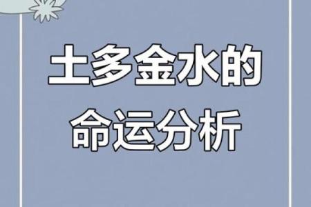 八字金水旺