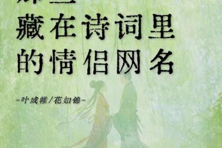 寻找有情人姓名配对 寻找有情人的诗句？