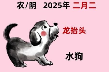 属狗男今年结婚吉日 属狗男今年结婚吉日有哪些？