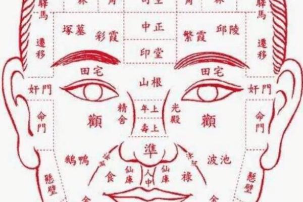 眼相算命图解大全
