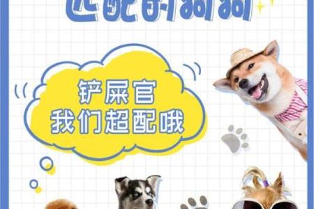 12星座男养狗适合养什么狗