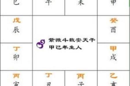 紫薇斗数生育星