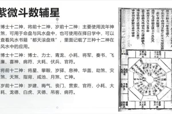 紫薇斗数疾恶擎羊