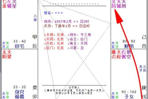 生年紫微斗数 紫薇斗数生年忌？