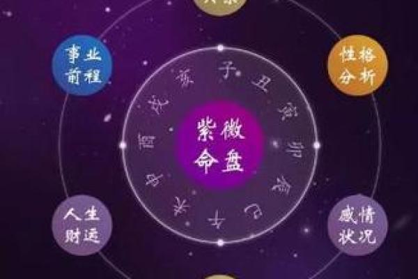 龙德紫薇斗数