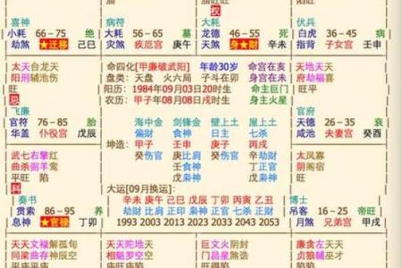 龙德紫薇斗数