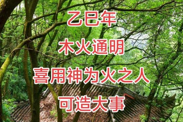 八字喜用神为火的男孩名字