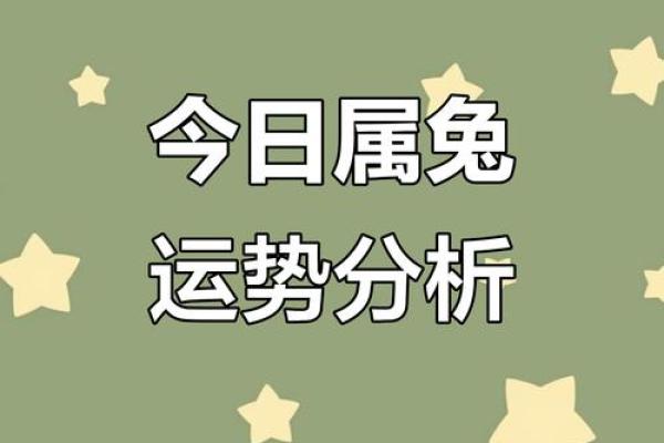 属兔出生最好六个吉日 属兔的出生吉日