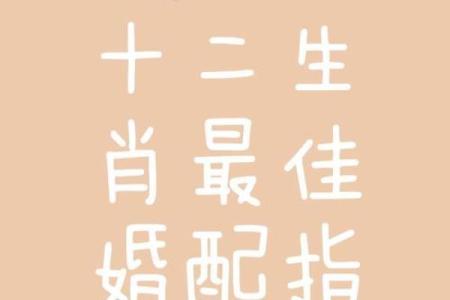 老鼠和什么属相最配对 老鼠和哪个属相最佳配对