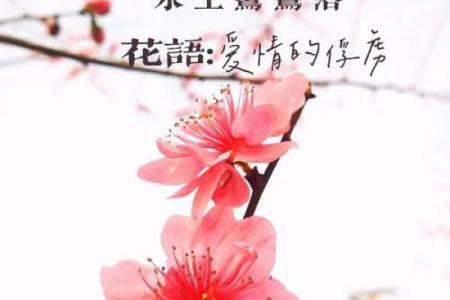 八字中有哪些的桃花魅力最大呢