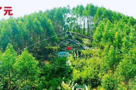 墓地本身会出现的15种风水问题