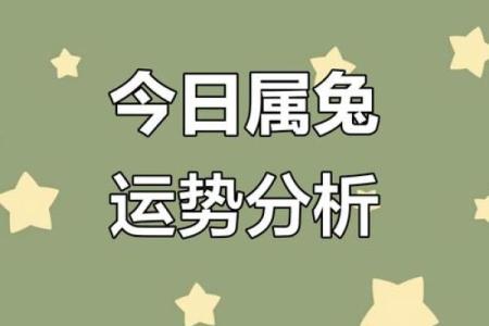 属兔出生最好六个吉日 属兔的出生吉日