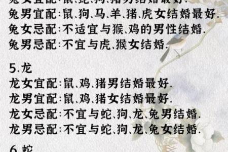 1971年属什么生肖配对 1971年属什么生肖配对最好