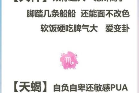 十二星座赌气会怎么样呢