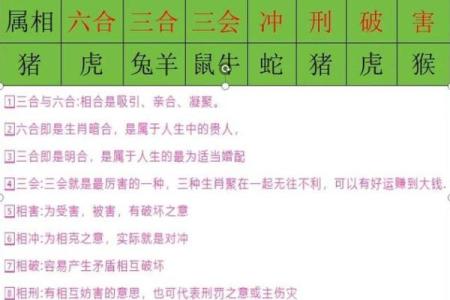 属猪的找什么属相最好 不同月份出生属猪的婚配最佳配对