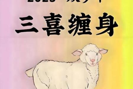 晚上十二点出生的属羊男孩如何起名，宜用什么字姓名