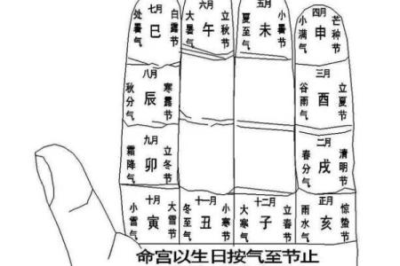 算命胎记