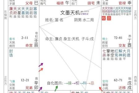 紫薇斗数和周易