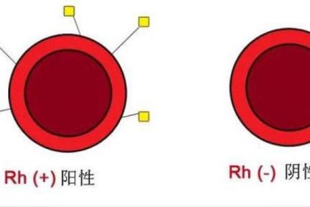 血型有什么变态情节