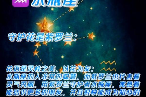 水瓶座是十二星座的王者吗