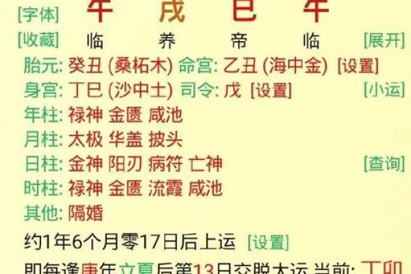 伤官生财的八字命例