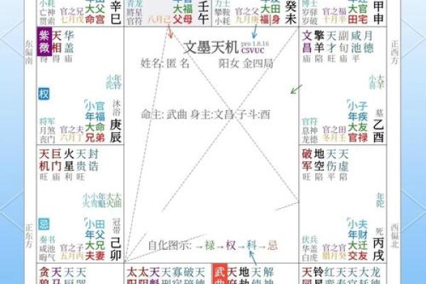 紫薇斗数解析新闻