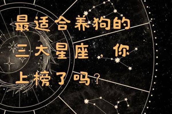 12星座谁最适合养什么狗呢