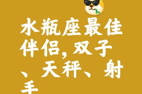 水瓶女和什么座最配对 水瓶男和什么座最配对