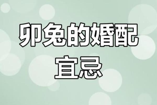 生肖兔的最佳婚配 谁跟属兔人更配对