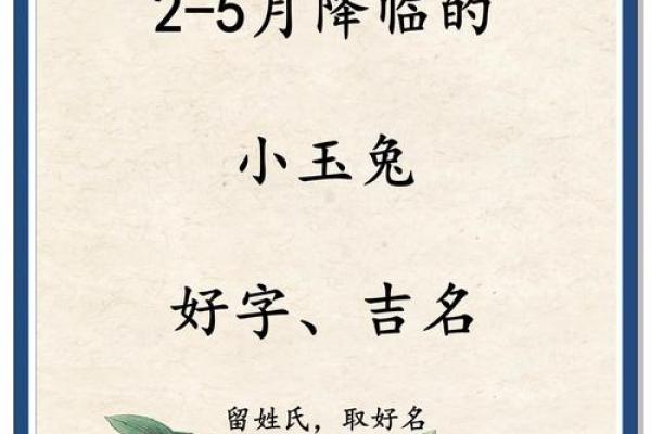 5月份出生的属兔男孩如何取名字姓名