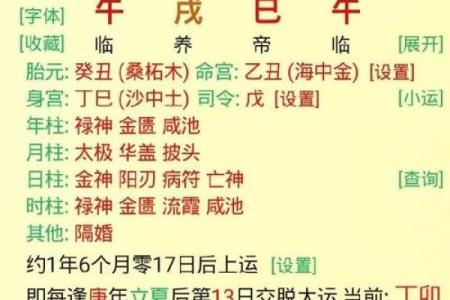 伤官生财的八字命例