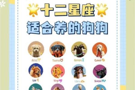 12星座谁最适合养什么狗呢