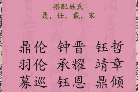 2019年6月16号丑时出生的男孩要怎么起名字姓名