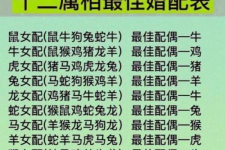 生肖配对查询表